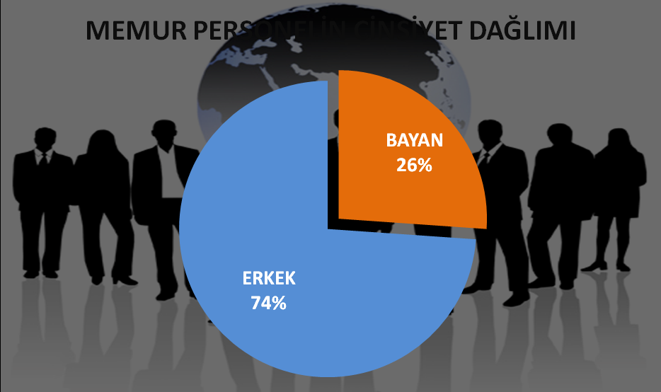 %17 si 51-60 yaģ grubundadır.