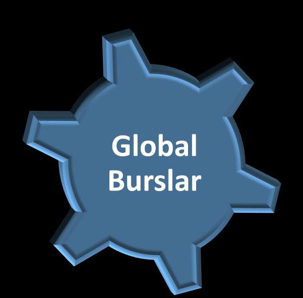 Global Burslar (Global Fellowships) Sadece