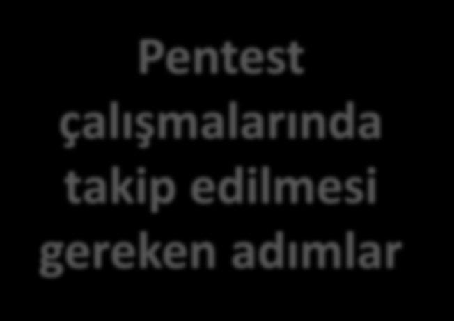 Pentest Süreçlerinde Metodoloji Pentest