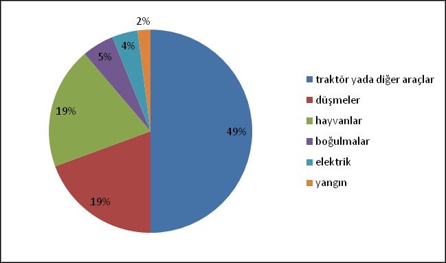 65 YAŞ ÜZERİ BİREYLERİN KAZALARDAN KORUNMASI Yaşlıların maruz kaldıkları kazalar aşağıdaki grafikte gösterilmiştir. Yaşlıların yaptığı işlerin listesini çıkarıp riskleri analiz edilmelidir.