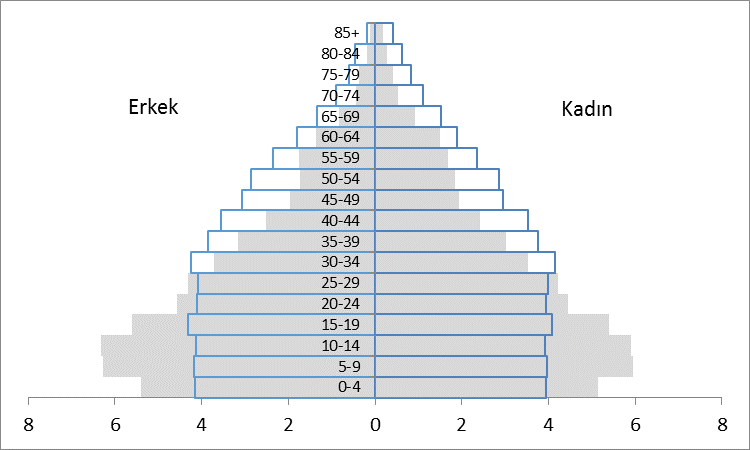 Nüfus piramitleri Nüfus piramitleri nüfusun yaş ve cinsiyet dağılımını gösteren grafiklerdir.