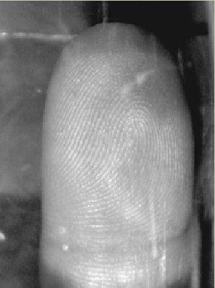 Fingerprint Recognition and Id Verification Using Sigma 29, 111-126, 2011 (a) Şekil 2.