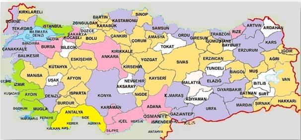 İkili Anlaşmalı Ülkelerden Gelen Hastaların Geldikleri İllerin Dağılımı, 2012 Ankara İstanbul 28% 72% İkili Anlaşmalar kapsamında