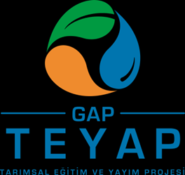 GAP TEYAP