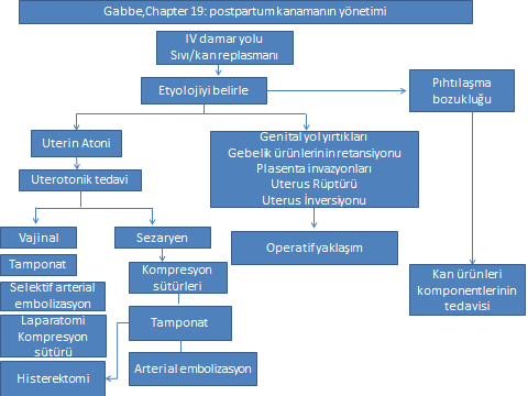 ANTEPARTUM Ve POSTPARTUM KANAMA 5 Gabbe SG, Niebyl JR, Galan HL. Sixth edition Obstetrics normal and problem pregnancies. Kaynaklar: 1.