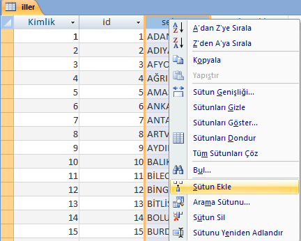 Yeni Bir Tablo Oluşturma Sütun Ekleme Çıkarma Şekil 2.10.