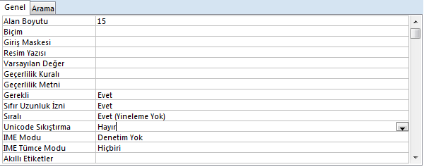 Alan Özellikleri Alan Boyutu: Karakter uzunluğu belirlemek için kullanılır. Metin türünde kullanılacak maksimum değer 255 karakter olmakla birlikte varsayılan değer 50 karakterdir.