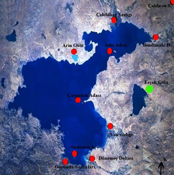 Bu hattın kuzeyinde kalan alanlarda yakın zaman volkanik faaliyetlerin yoğun olmasına bağlı olarak çok sayıda sıcak su kaynağı bulunmaktadır.