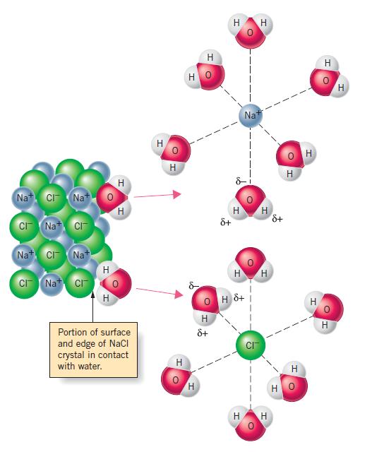 Su molekülleri, bu yüzey iyonlarından Na + iyonlarını eksi uçlarıyla, eksi olan Cl - iyonlarını da artı uçlarıyla çekerek katı fazdan çözeltiye taşır.
