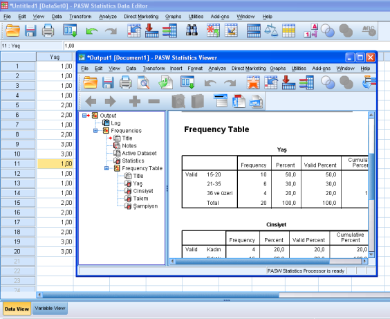 Analyze Descriptive Statistics Frequencies Sol taraftaki analiz edilmesi