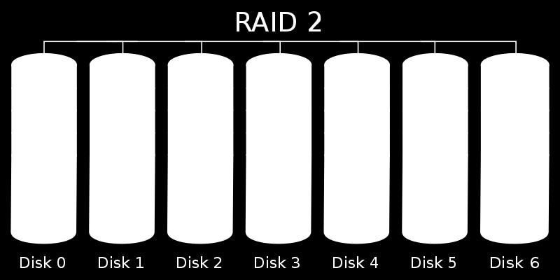 RAID 2: Bit seviyesinde her bir diske yayılmış veri bloklarına karşılık birden fazla ECC(hata bulma & düzeltme) sürücüleri kullanılarak oluşan yapıdır.