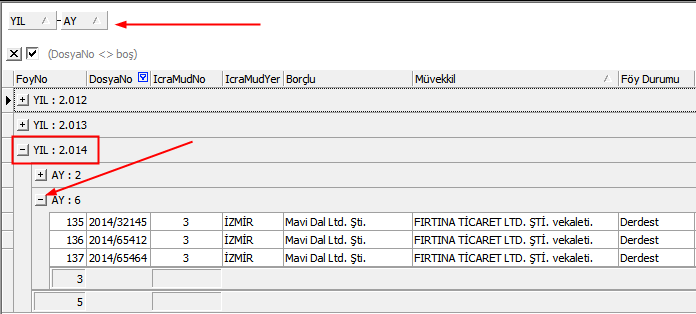 Rapor Sonucunu Gruplandırma Raporunuzu çalıştırdıktan sonra, sonuç ekranındaki kayıtları belli bir sahaya göre gruplandırabilirsiniz.