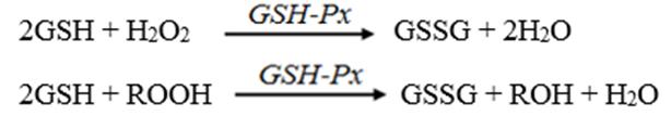 2.6. GSH, GSH-Px ve Katalaz Enzimleri Aerobik tepkimeler hücreler açısından tehlikeli olabilen reaktif oksijen türlerinin (ROT) birikmesine neden olur.