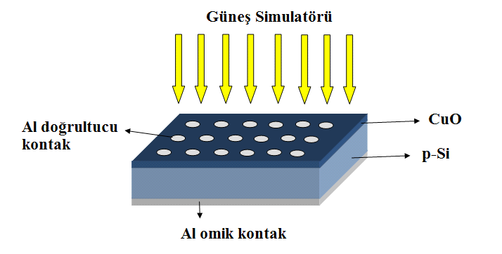 önceden tavlama işlemi için hazır hale getirilen fırına yerleştirilip 570 C de ve 3 dakika tavlandı. Böylece omik kontak işlemi tamamlanmış oldu. 2.4.