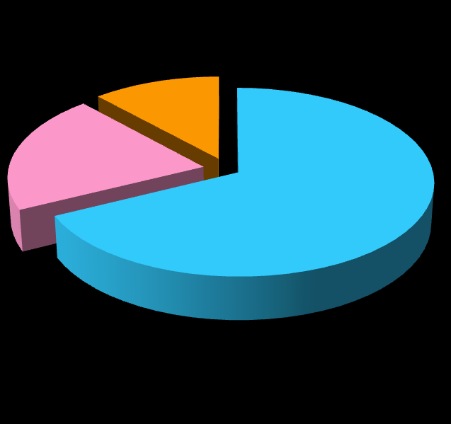 Grafik 3: Personelin Eğitim Durumlarına Göre Dağılımı Doktora (Mezun veya Devam Eden); 5; 13% Lisans Mezunu; 18; 45% Lisans Mezunu Yüksek Lisans (Mezun veya Devam Eden); 17; 42% Yüksek Lisans (Mezun