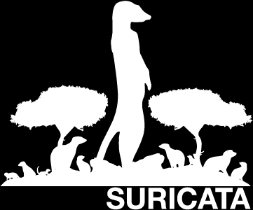 Suricata IDS Yüksek performanslı çalışabilme Gigabitler seviyesinde ağ trafiğini işleyebilmesi HTTP isteklerini, TLS el sıkışmalarını, SSH bağlantılarını