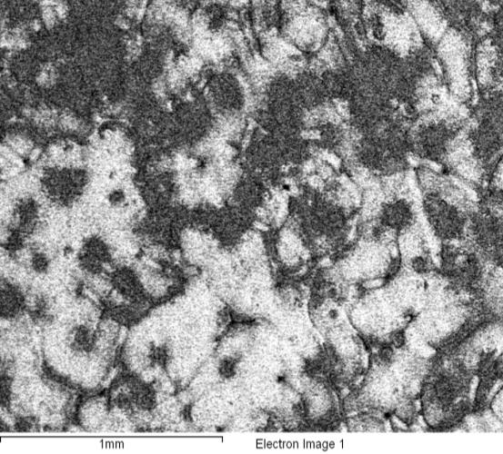 Şekil 9. Ergitme fırın içi alaşımlama ve rafinasyon öncesi alınan numunenin straube pfeiffer testi sonrası merkezden alınan SEM görüntüsü Element Weight% Atomic% C 18.42 26.63 O 49.94 54.21 Mg 1.30 0.