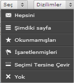 Sağ üst panelin altında yer alan mavi dikdörtgen içine alınmış alanda; simgeler yukarıdan aşağıya sırası ile görüntülenen (seçili ya da seçilmemiş) mesaj ya da mesajlar ile ilgili şu eylemleri