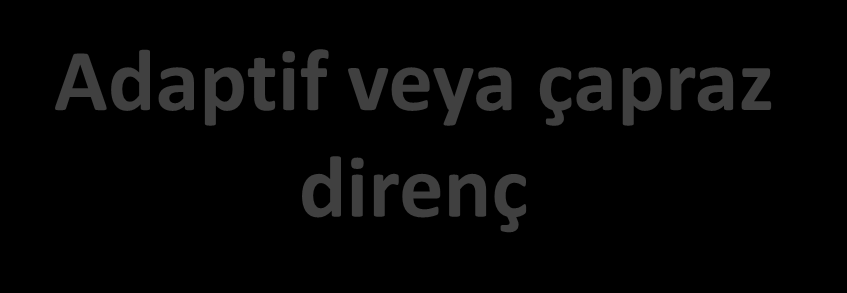 Son 15 yılda Klinikte Gram(+) Tedavisi Streptograminler (quinupristin-dalfopristin, 1999), Oxazolidinonlar (linezolid, 2000),