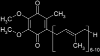 Koenzyme Q10 Koenzyme Q10 (ubiquinone), insan hücrelerinde bulunan ve yağda çözünen bir antioksidandır.