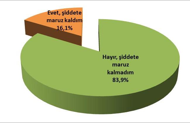 TÜRKİYE DE ŞİDDETE MARUZ KALMA DURUMU TÜRKİYE