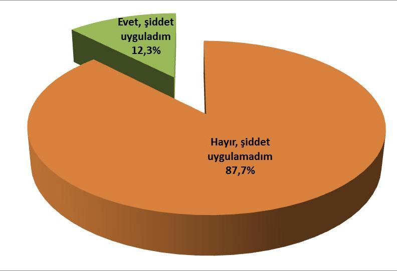 TÜRKİYE DE BAŞKASINA ŞİDDET UYGULAMA DURUMU