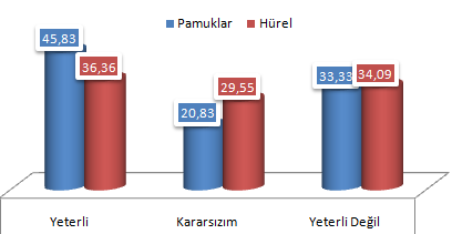 196 oturanların %45,83 ü yeterli ifadesini kullanırken Hürel Mahallesi'nde bu oran %36,36'dır.