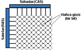 RAM, her bir hücresi bir transistor ve kapasitörden oluşan 2 boyutlu(satır ve sütunlardan oluşan) matris yapıya sahiptir.