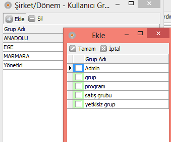 17 Şirket adı, ilişkilendirilmesi istenen dönem adı seçilir. Şirket veri tabanı ve ortak veri tabanı seçilir. İlişkilendirme seçeneklerinin seçilmesi önerilir.