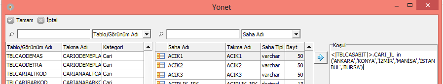 19 Yukarıda yönetici grubuna TBLCAHAR tablosunun yetkisi verilmiş ancak 3 sahanın yetkisi kaldırılmıştır.