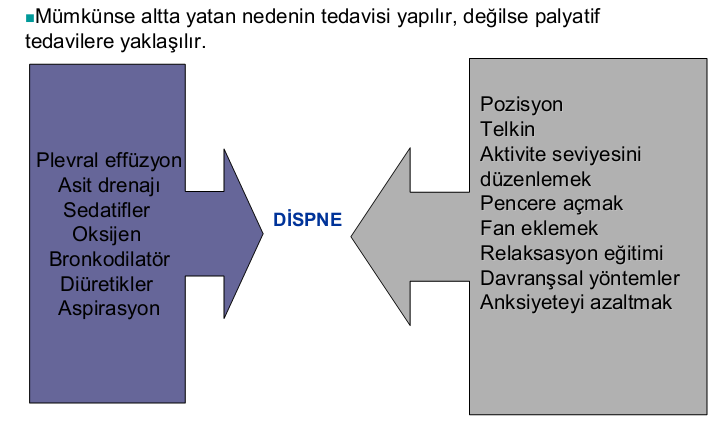 DİSPNE YÖNETİMİ 20.