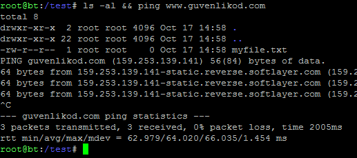 OS Commanding - Unix - && ls