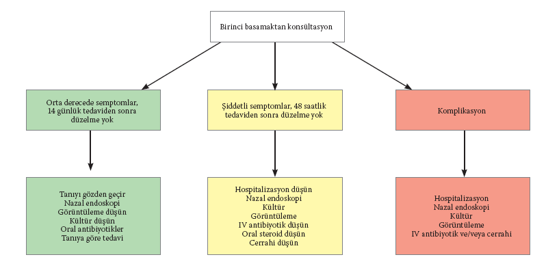 KBB UZMANLARI İÇİN AKUT RİNOSİNÜZİTLİ ERİŞKİNLERİN KANITA DAYALI TEDAVİ ŞEMASI Tanı Semptomlar Aniden ortaya çıkan, biri burun tıkanıklığı veya burun akıntısı (anterior/posterior akıntı) olan, iki