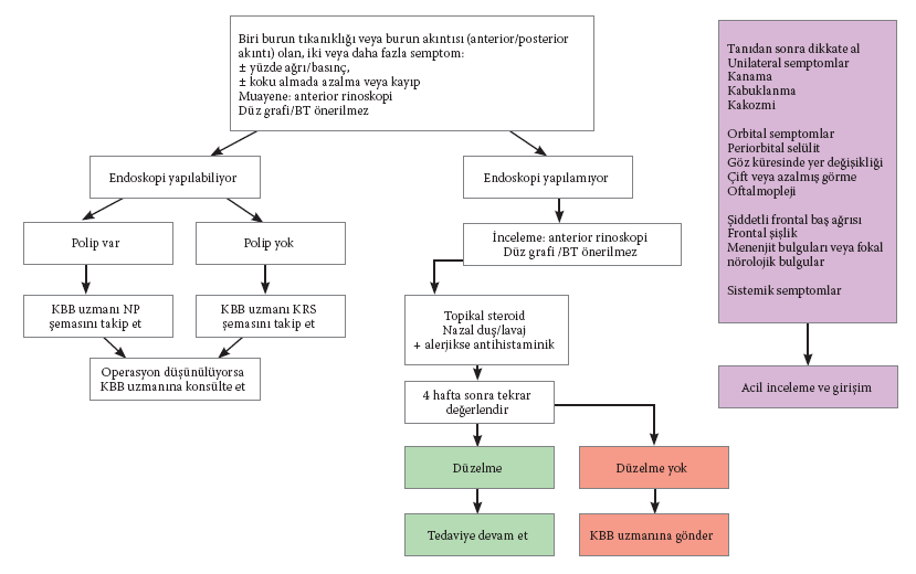 PRATİSYEN HEKİMLER VE KBB UZMANI OLMAYAN UZMANLAR İÇİN NP Lİ VEYA NP SİZ KRS Lİ ERİŞKİNLERİN KANITA DAYALI TEDAVİ ŞEMASI Tanı Semptomlar 12 haftadan uzun sürer Bir tanesi burun tıkanıklığı veya burun