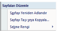 Sayfalarla Çalışmak SAYFA ADLANDIRMAK VE RENKLENDİRMEK Excel de sayfalara yeni bir isim verilmediği sürece sayfalar Sayfa 1, Sayfa 2 şeklinde isimlendirilir.