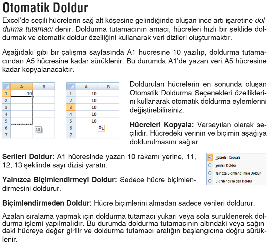 Temel İşlemler Not: Otomatik Doldur işleminde adım sayısını belirterek doldurma işlemi yapılabilir.