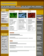 12 DÜZEN TABLOLARI Microsoft Office FrontPage 2003 programında düzen tabloları ve hücrelerini kullanarak, profesyonel görünümlü Web sayfası düzenleri oluşturabilirsiniz.
