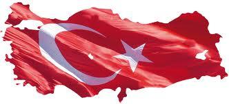 Türkiye de Servikal Kanser Tarama Programları: Dün, Bugün, Yarın