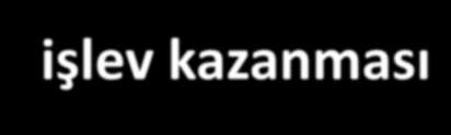 Vitamin K ya Bağlı Pıhtılaşma Faktörleri VK Epoksit redüktaz (VKOR)OR enzimi Kofaktör-Vitamin K VII IX