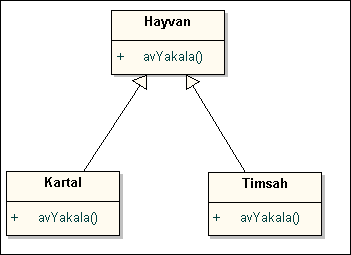 Java ve Yazılım Tasarımı ; Bölüm- 6 Á Á class Timsah extends Hayvan{ public void avyakala() { System.out.