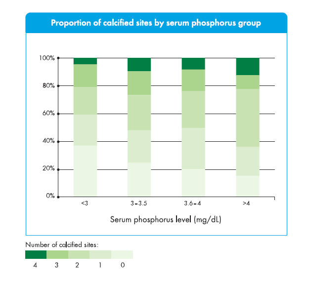 Kompanse böbrek yetmezliği sürecinde orta derecede yükselmiş fosfor bile önemli bir kalsifikasyon belirleyicisidir n total = 439;