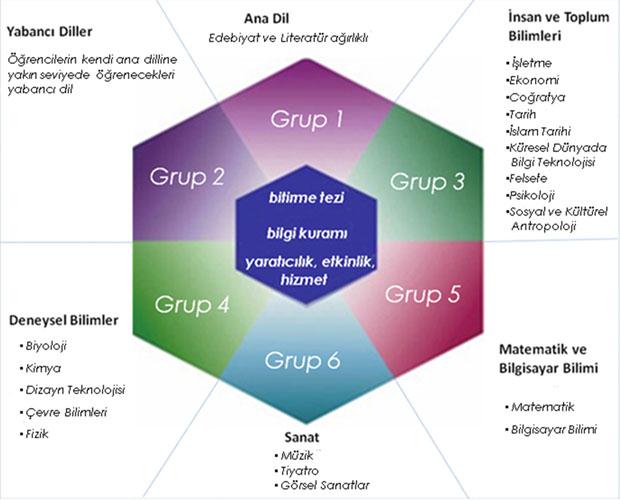 Diploma Programı Çerçevesi Diploma programı her kültürün kendisine adapte edebileceği esnek bir program sunarak kendi değerlerini yitirmeyen uluslararası farkındalığa ulaşmış bireyler yetiştirmeyi