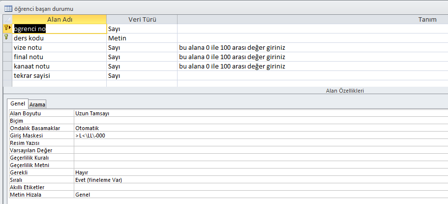 Görünümü nü seçtiğinizde tablo özelliklerinize ait bilgilere