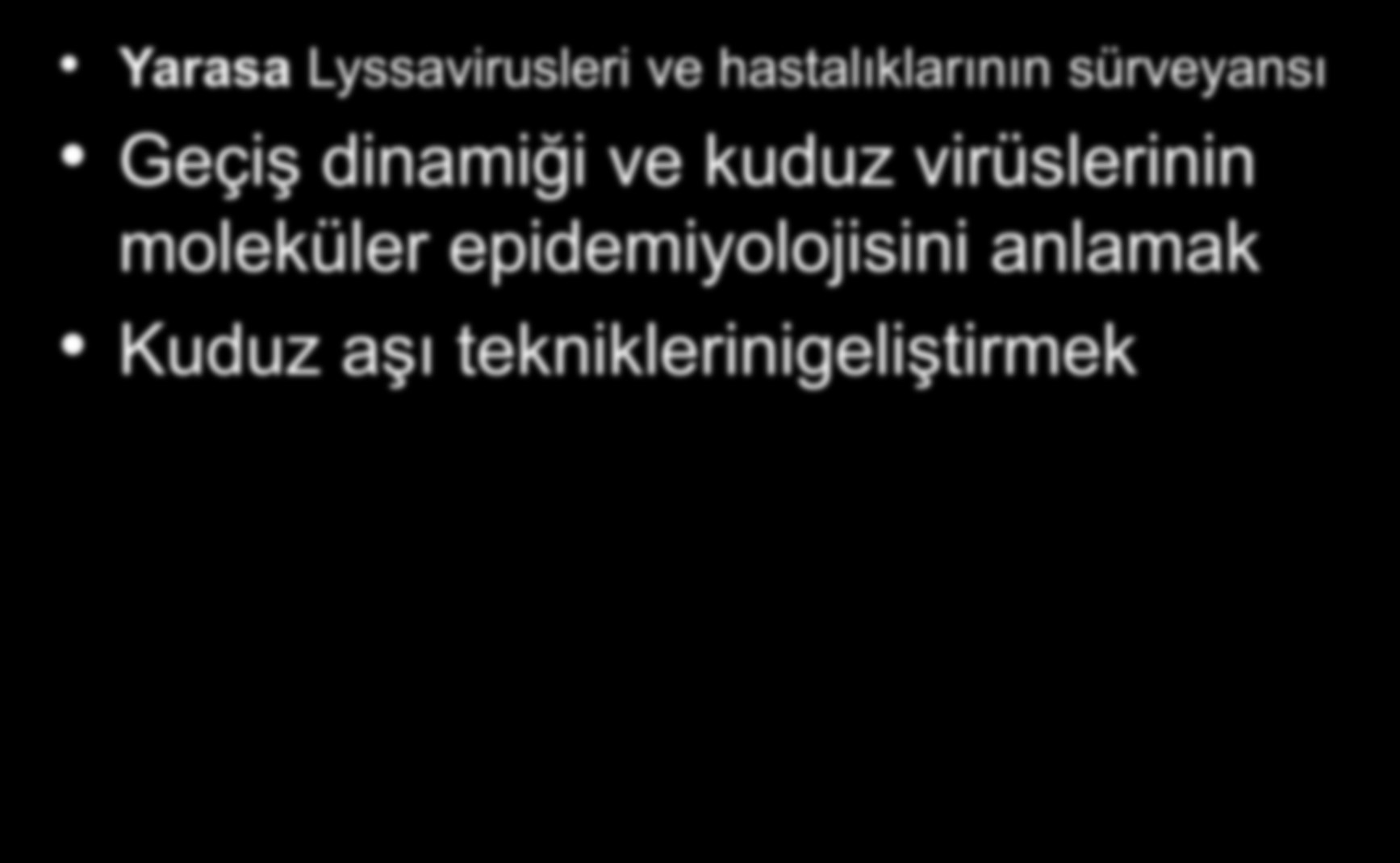 dinamiği ve kuduz virüslerinin moleküler epidemiyolojisini