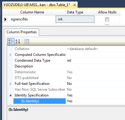Tablo Oluşturmak T-SQL CREATE TABLE tabloadi (kolon_adi1