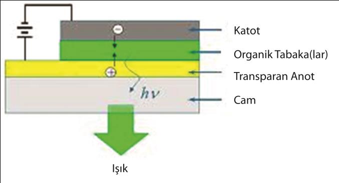 Organic Ligths Emitting Diodes-OLED OLED, iki elektrot arasında organik ince