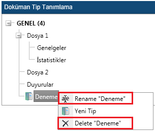 Açılan yeni tip adını değiştirmek için Rename,