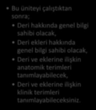 HEDEFLER İÇİNDEKİLER DERİ VE EKLERİ Giriş Derinin Tabakaları Hakkında Genel bilgiler Derinin Ekleri Hakkında Genel