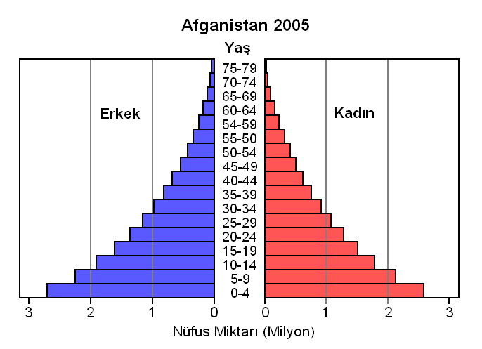 I. Düzgün bir üçgen halindeki birinci piramit yüksek doğum ve ölüm oranlarına sahip ülkelerin tipik şeklidir. Günümüzde bu özelliklere sahip ülke nüfus piramidine pek rastlanmamaktadır.