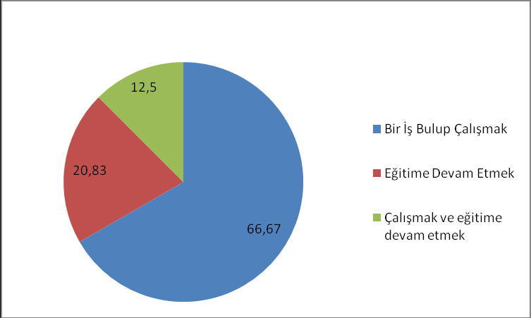 AÜEEYO na giden öğrencilerin % 57 si okulu bitirdikten sonra bir iş bulup çalışmayı, % 21 i eğitime devam etmeyi düşündüğünü belirtirken, % 20 si hem eğitimi sürdürmek hem de iş bulup çalışmak